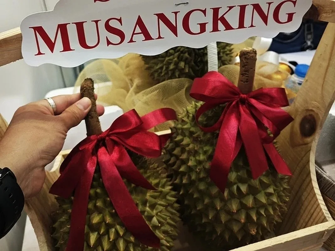 gia sau rieng musang king 2026 cap nhat bien dong thi truong moi nhat