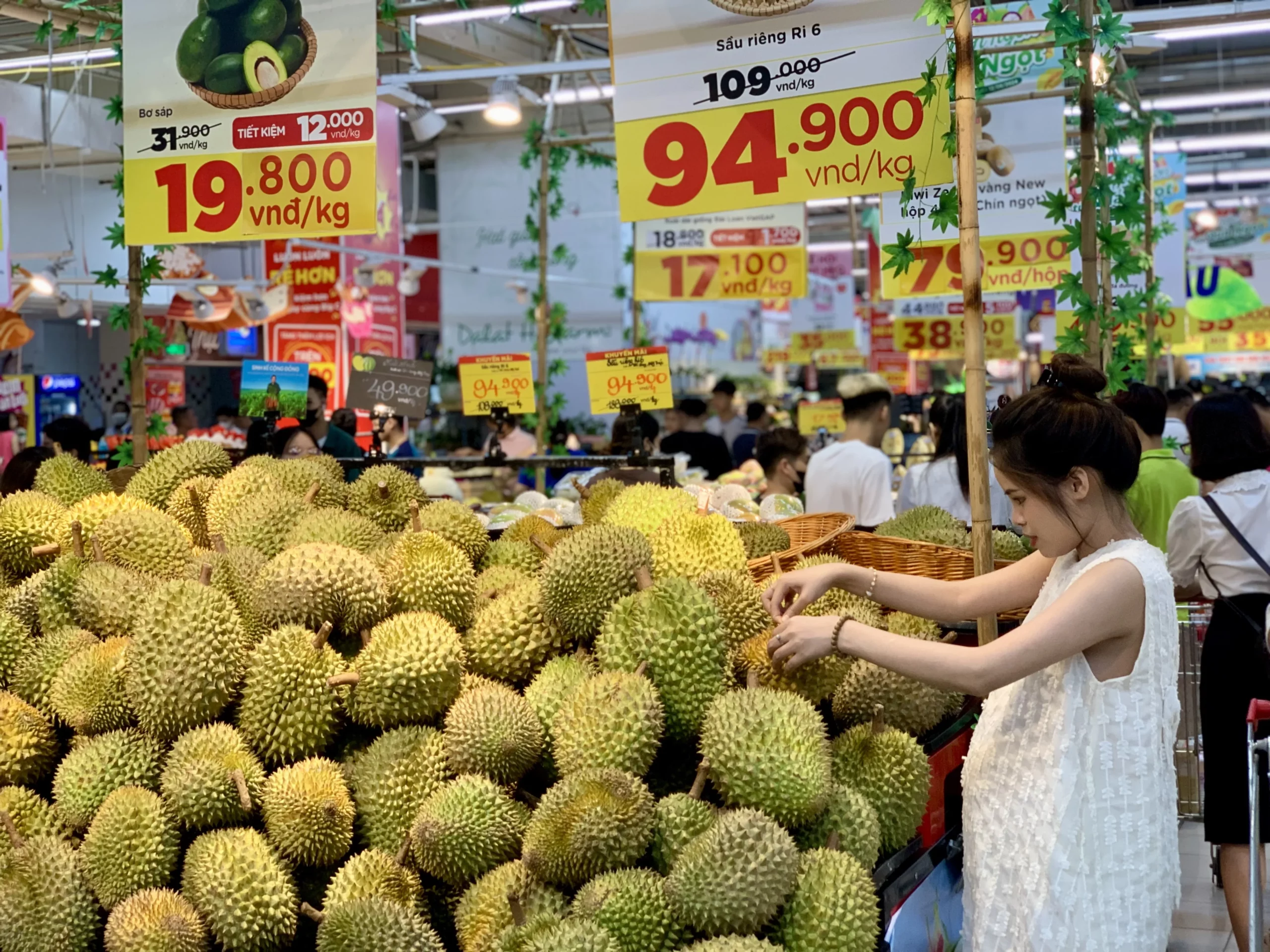 gia sau rieng musang king 2026 cap nhat bien dong thi truong moi nhat