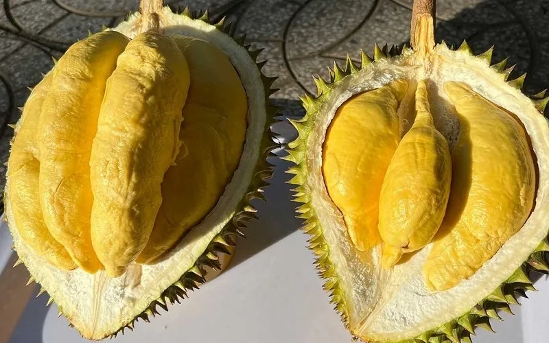 gia sau rieng musang king 2026 cap nhat bien dong thi truong moi nhat