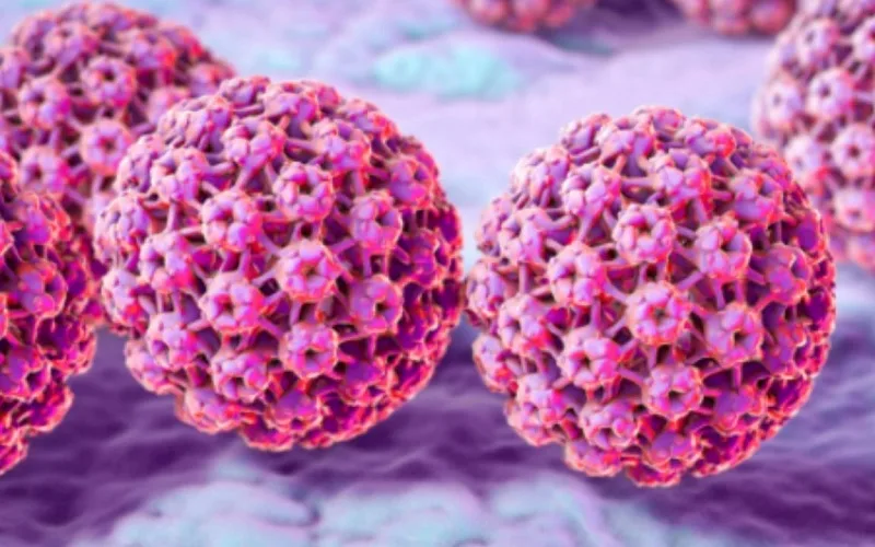 hpv la benh gi dau hieu nhan biet va bien chung nguy hiem