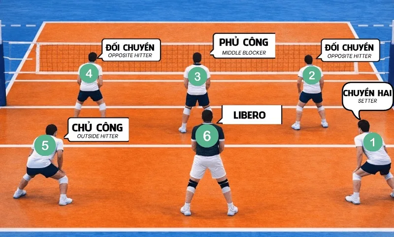 luat choi bong chuyen moi nhat 2026 quy dinh chi tiet tu a den z