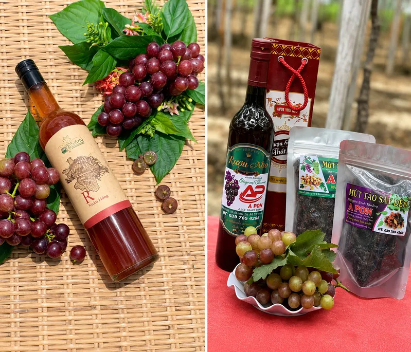 Nho Ninh Thuận mọng nước, có vị ngọt thanh và là sản vật nổi tiếng của địa phương